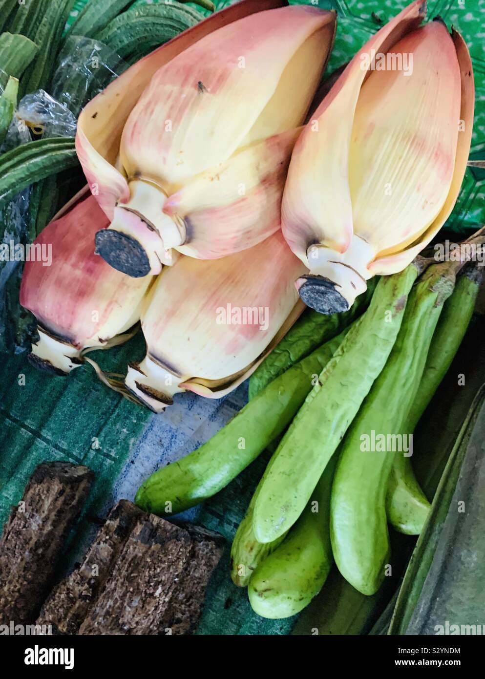 Banana flowers hires stock photography and images Alamy