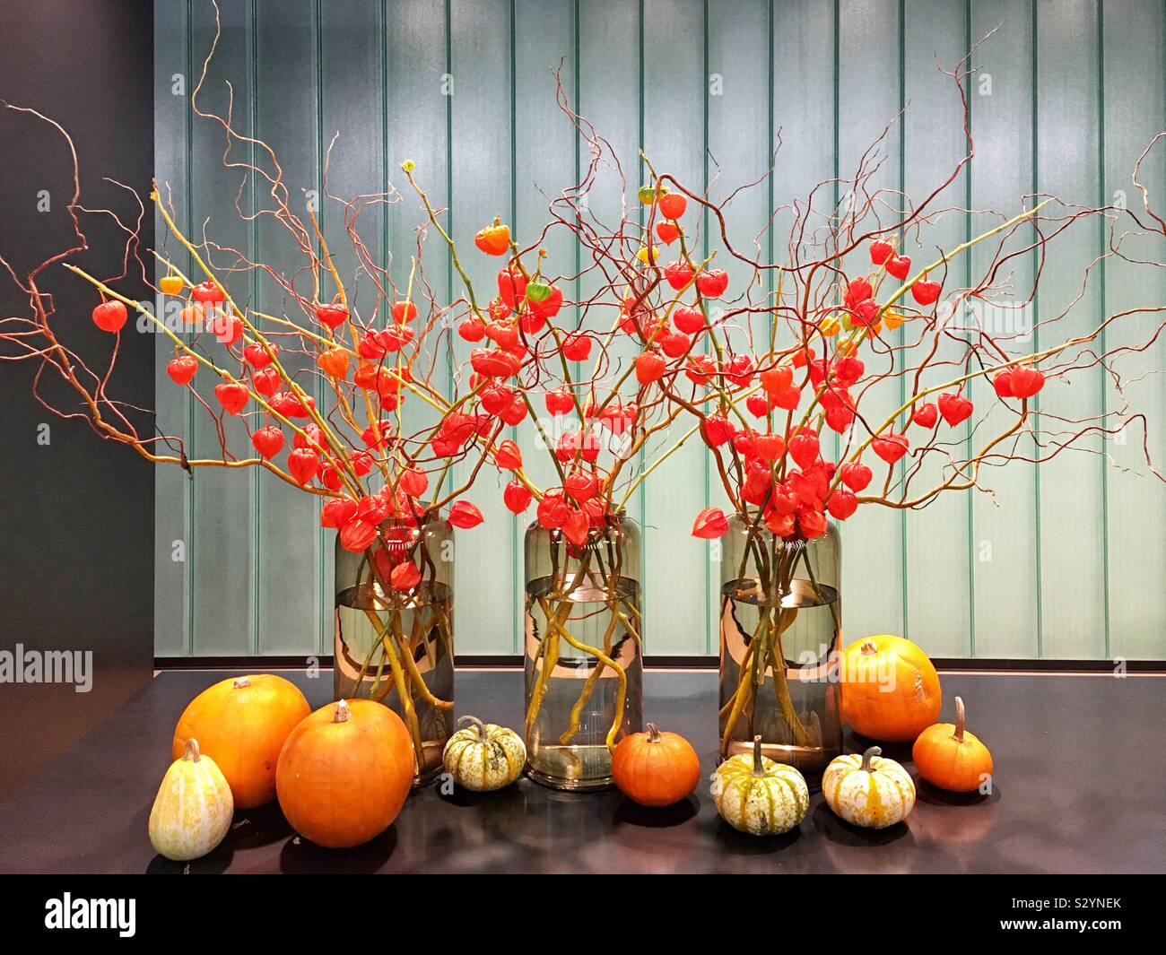 Autumnal display Stock Photo