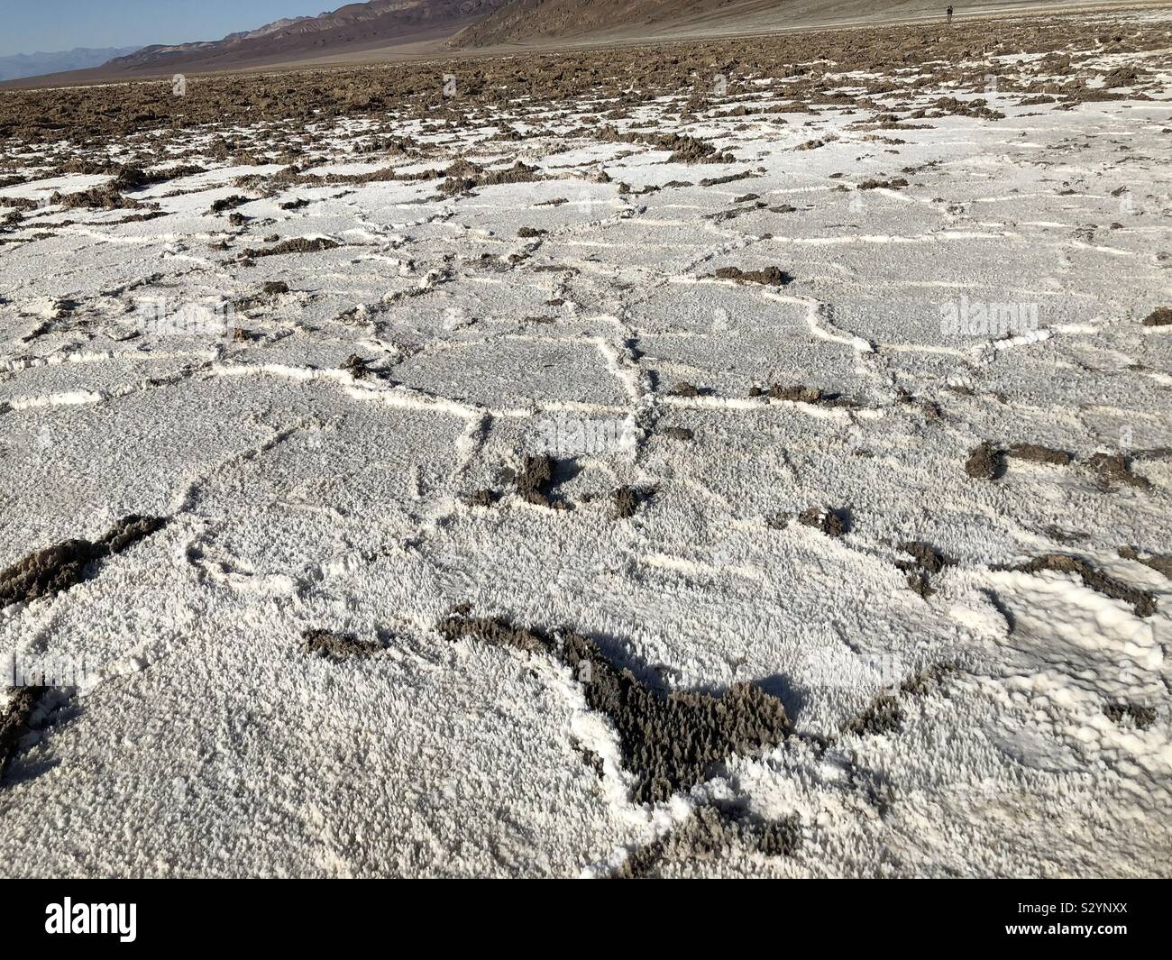 Salt flower in badwater on Death Valley Stock Photo Alamy