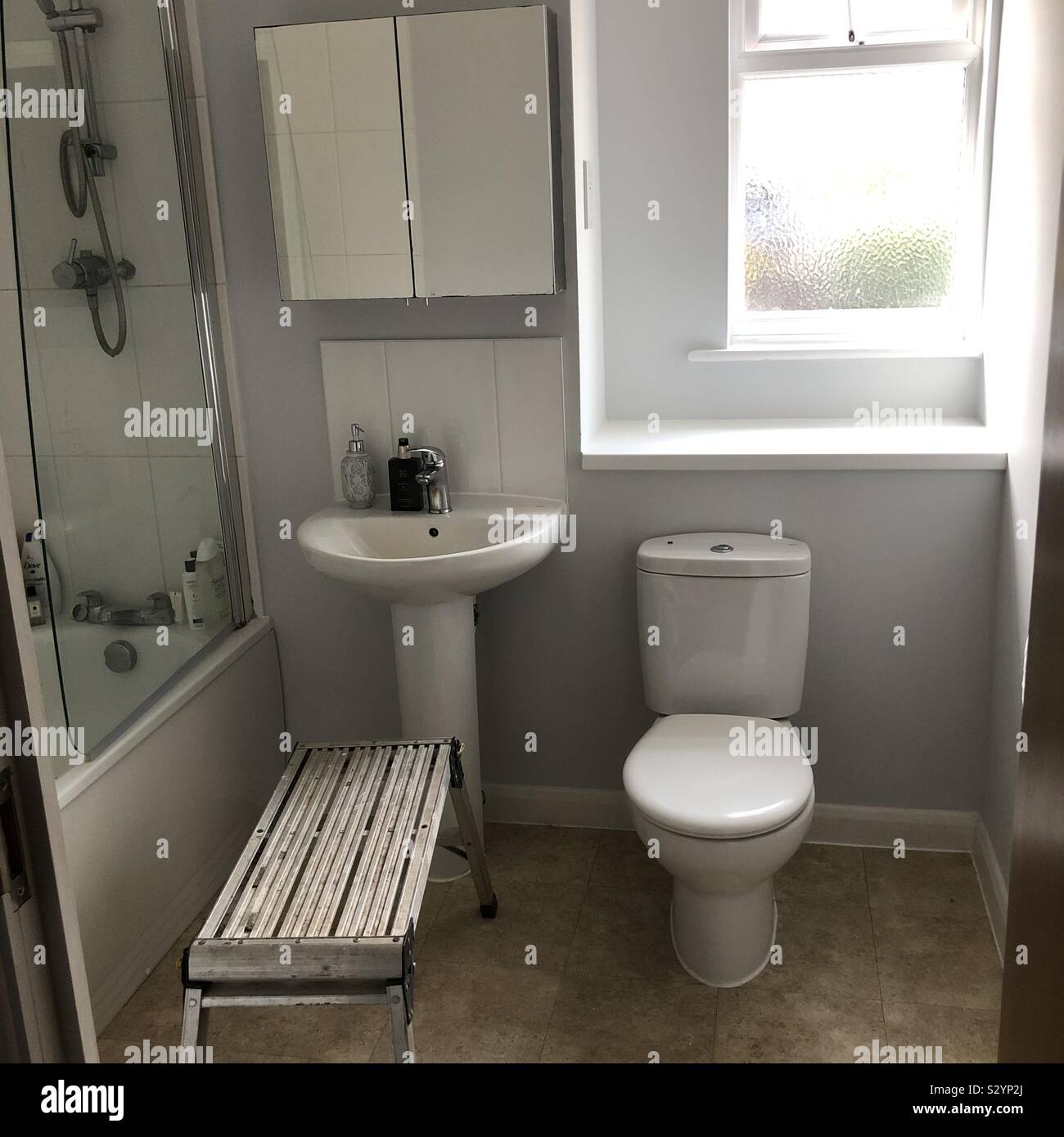 Painting the bathroom Stock Photo Alamy