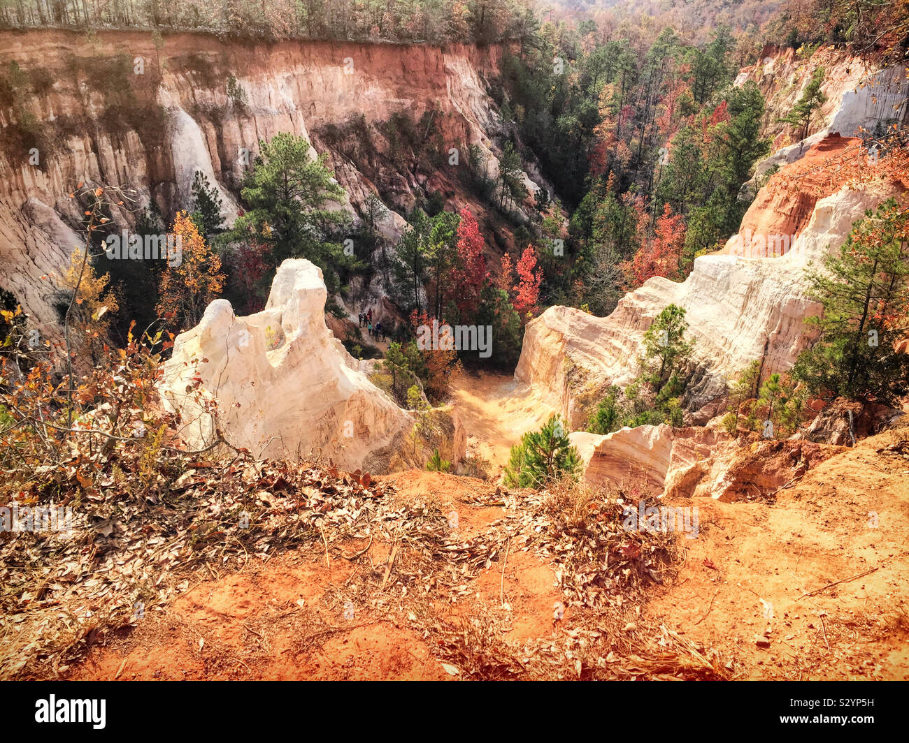 Providence Canyon in Lumpkin Georgia USA is also known as the Little Grand Canyon. It is one of the seven natural wonders of Georgia. Stock Photo