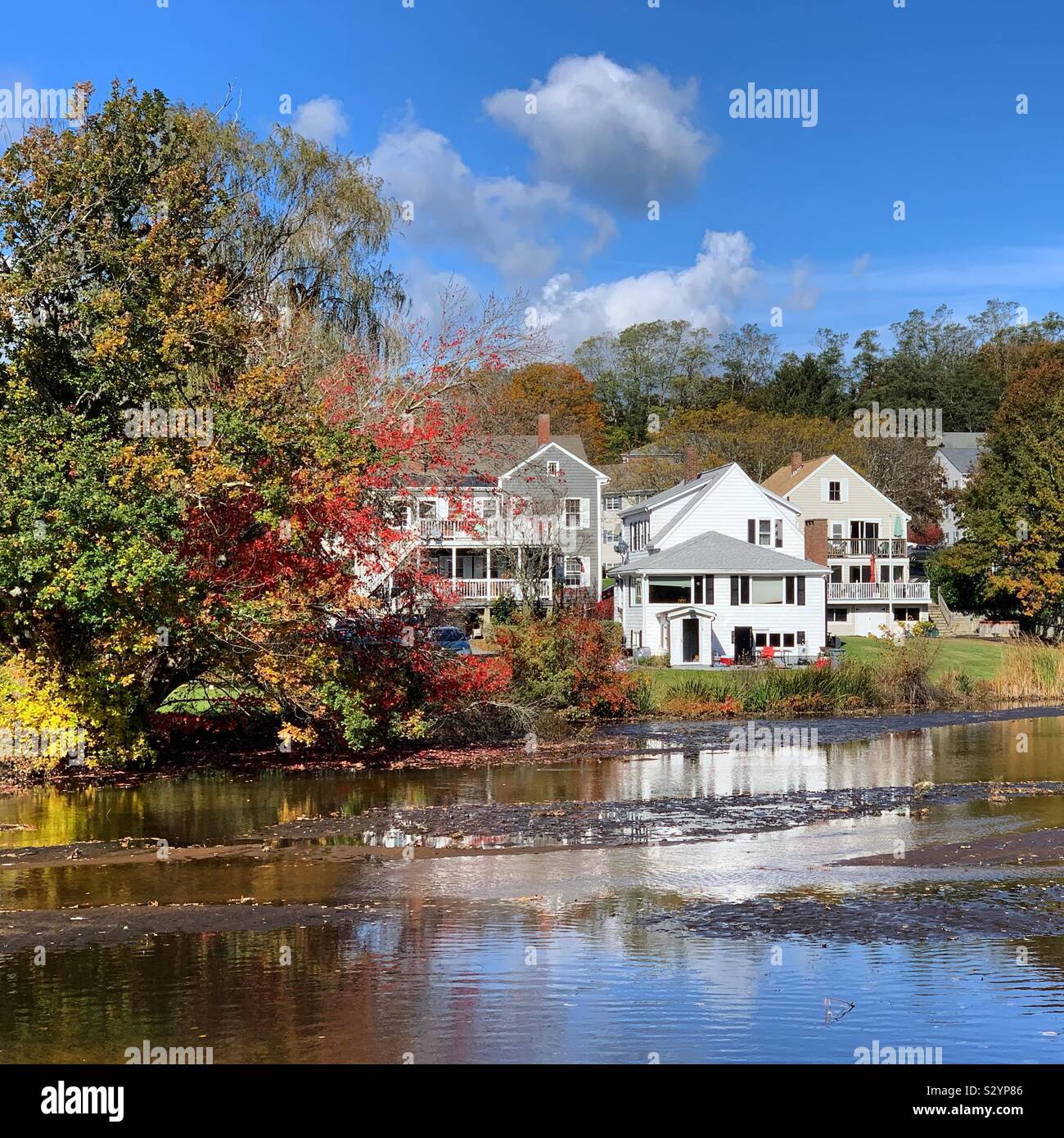 Arms House Pond, Plymouth, Massachusetts, United States - Smartphone Captured Stock Image