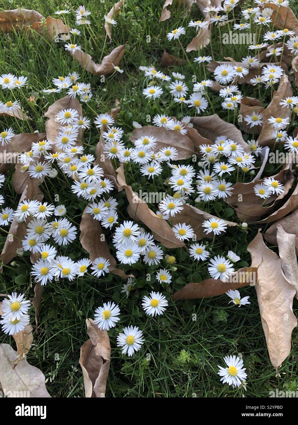 Represent change hires stock photography and images Alamy