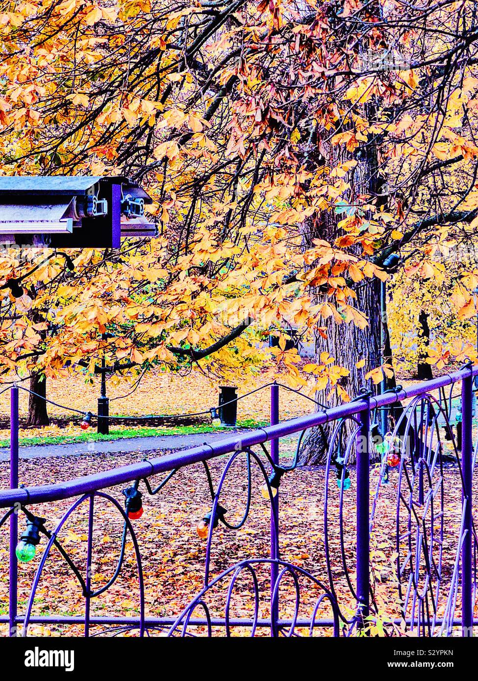 Autumn scene with purple railing, coloured lights and part of awning, Sweden - Smartphone Captured Stock Image