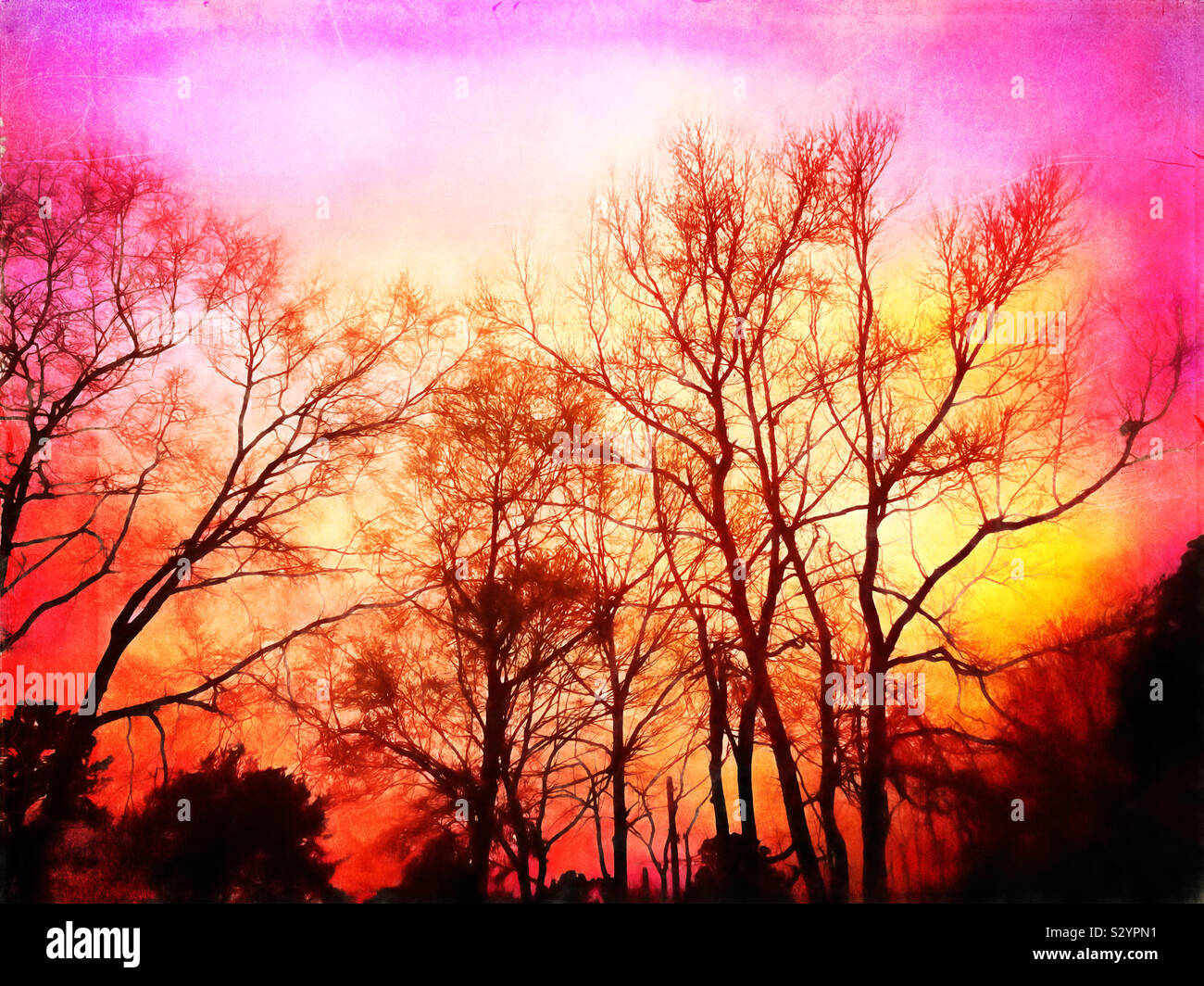 A gorgeous spring season sunrise with deciduous trees in the foreground. This image has a grunge textured effect. Stock Photo