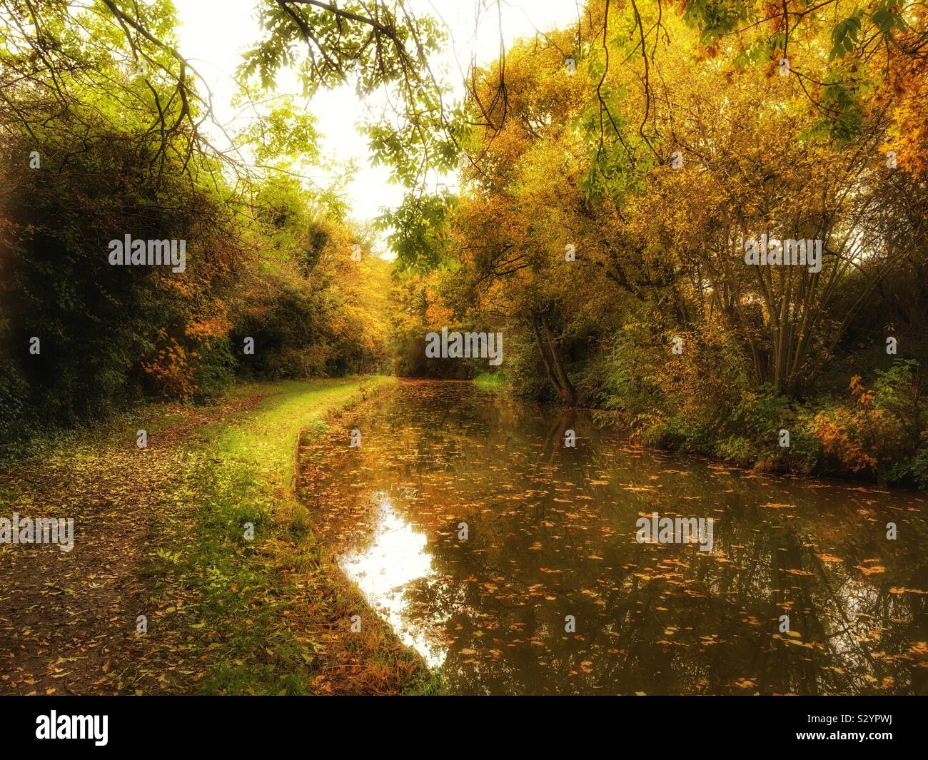 Trent and Mersey canal in autumn - Smartphone Captured Stock Image