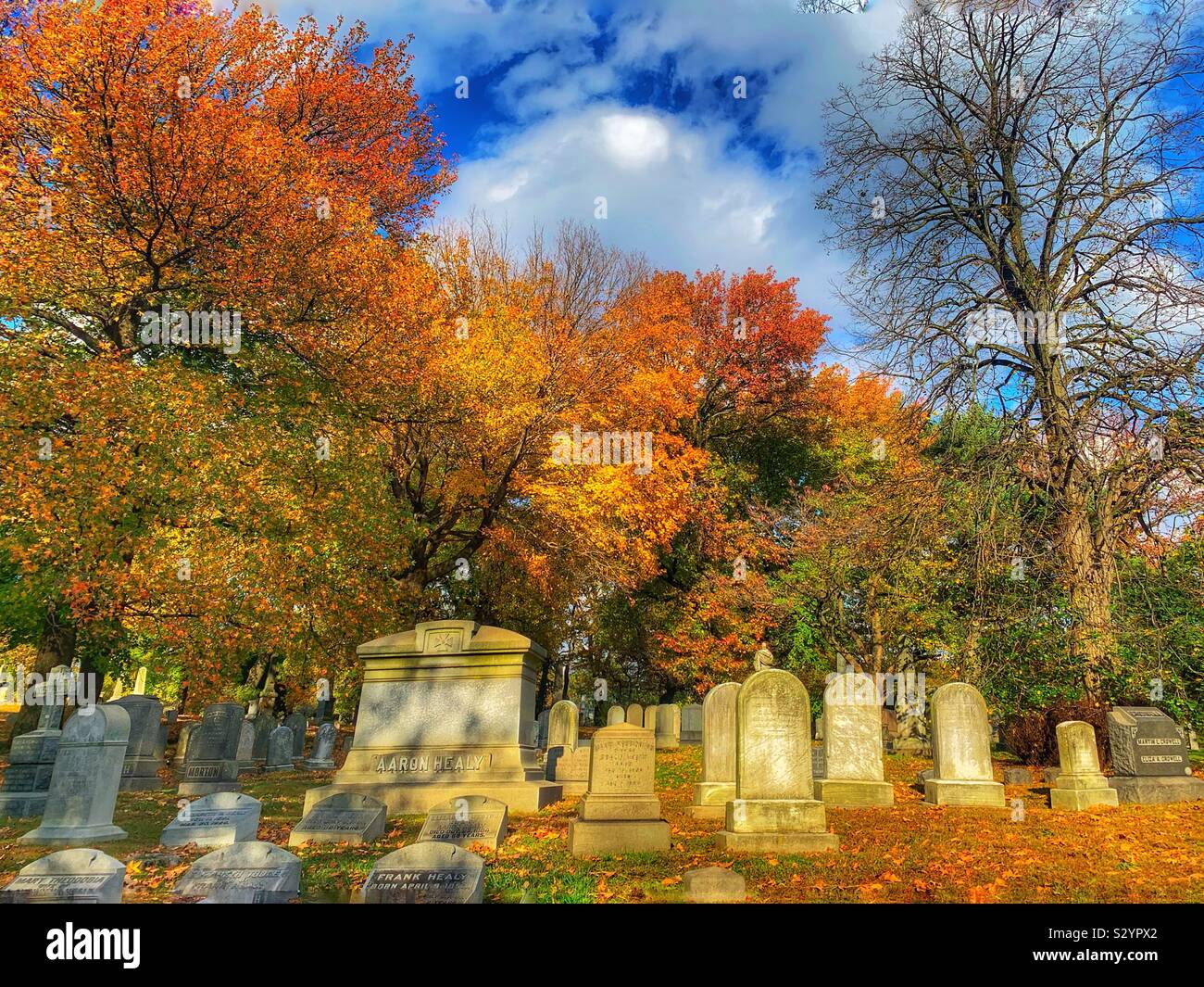 Autumn in Green-Wood Cemetery - Smartphone Captured Stock Image