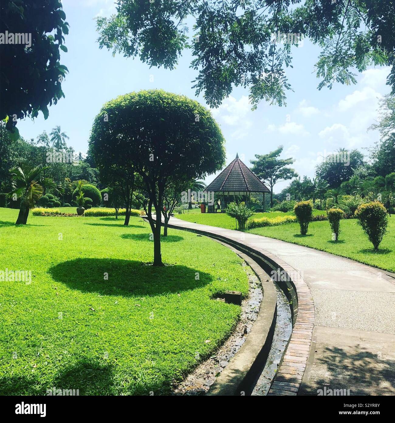 A tranquil park in Yangon, Myanmar. - Smartphone Captured Stock Image
