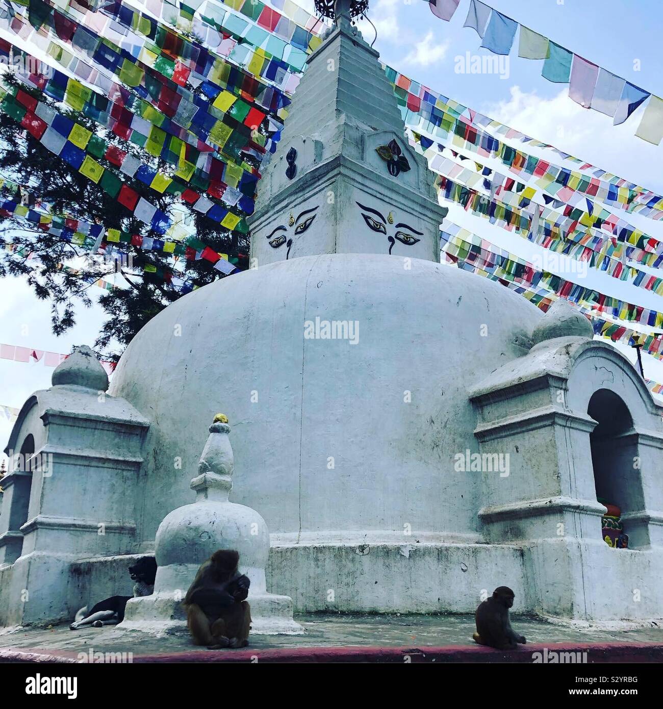 White stupa at the Monkey Temple in Kathmandu, Nepal Stock Photo - Alamy