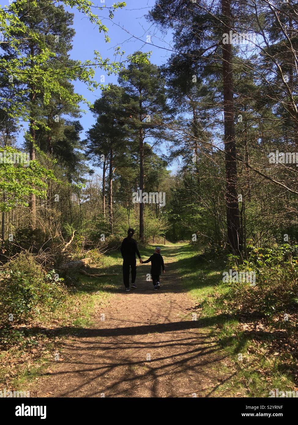Mother and son walking in the forest - Smartphone Captured Stock Image