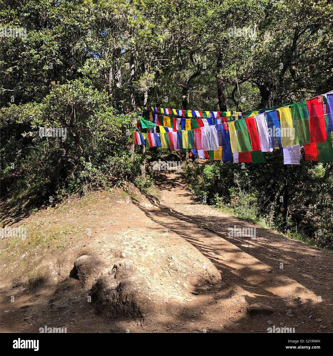 Prayer flags on a mountain trail in Paro, Bhutan. - Smartphone Captured Stock Image