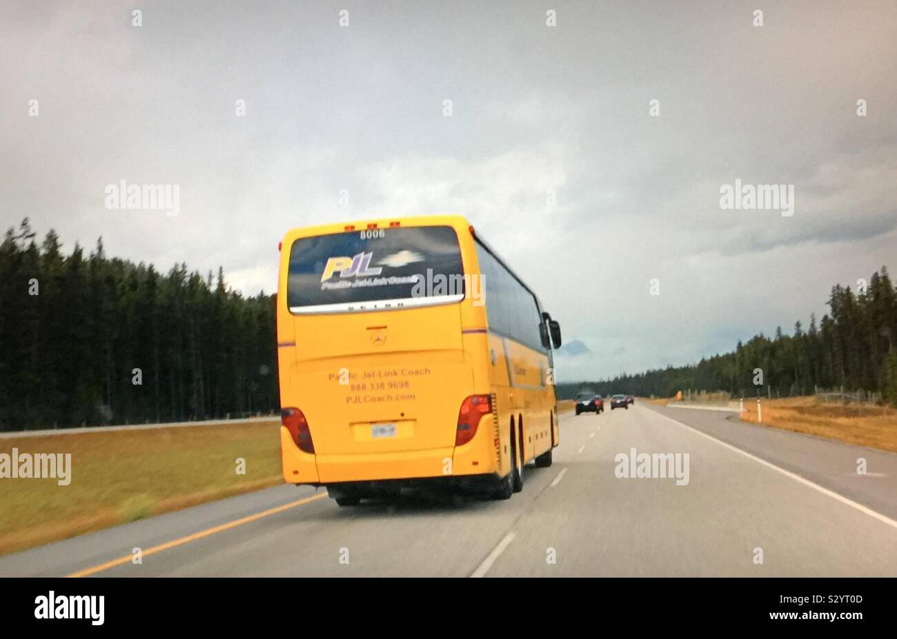 Touring Banff National Park, Alberta, Canada, on the TransCanada Highway, tour bus wilderness, wilds, forest, summer, Canadian Rocky Mountains - Smartphone Captured Stock Image