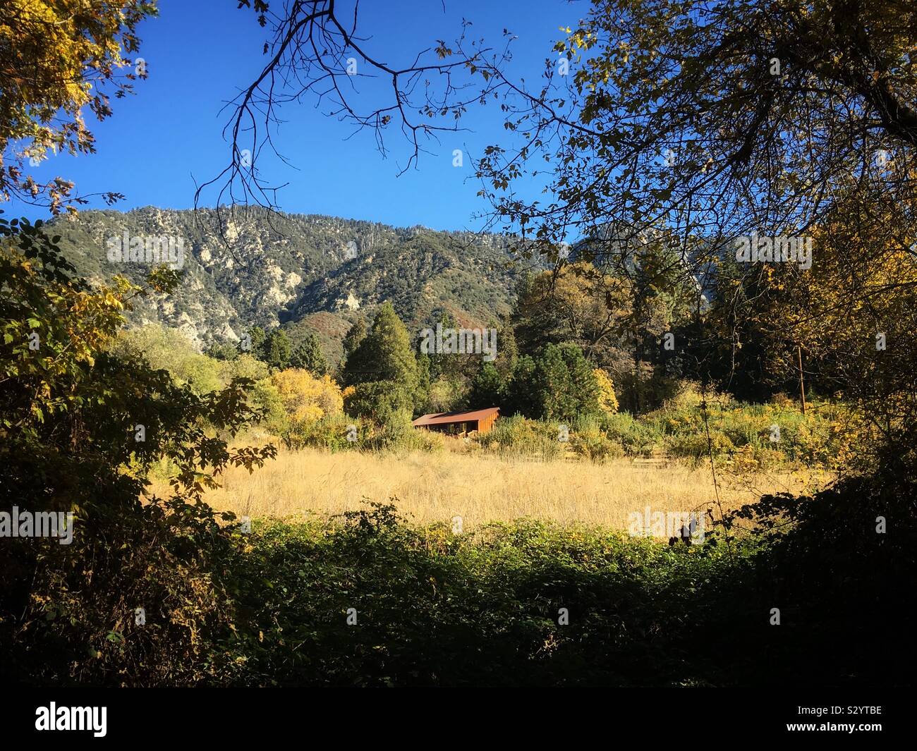 Secluded Cabin In The Woods Stock Photos Secluded Cabin In The