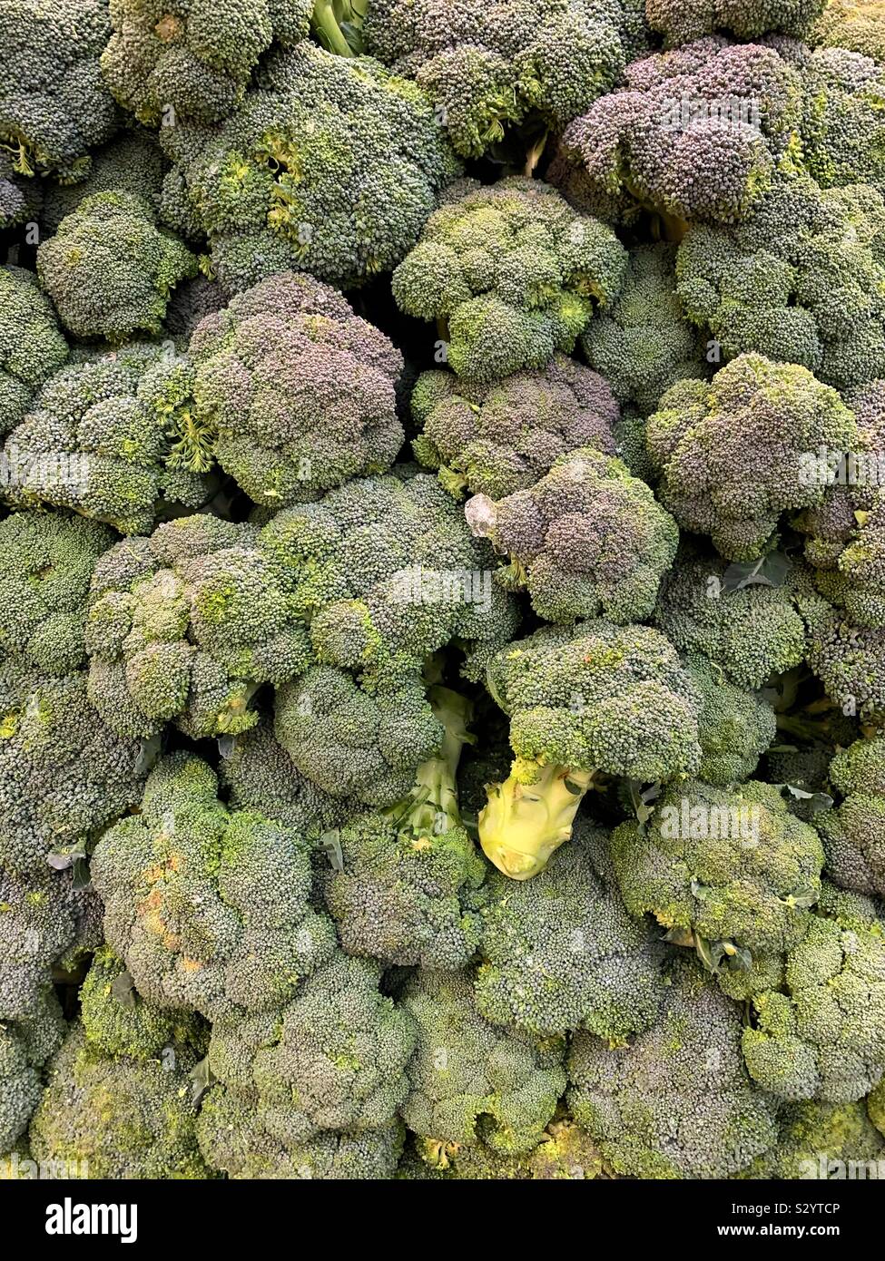 Pile of heads hi-res stock photography and images - Alamy
