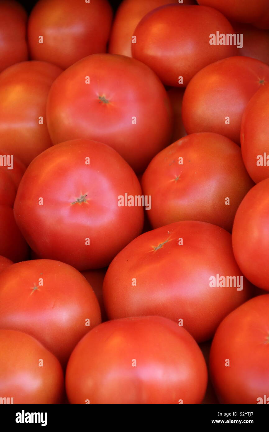 Spanische reife rote Tomaten Stock Photo