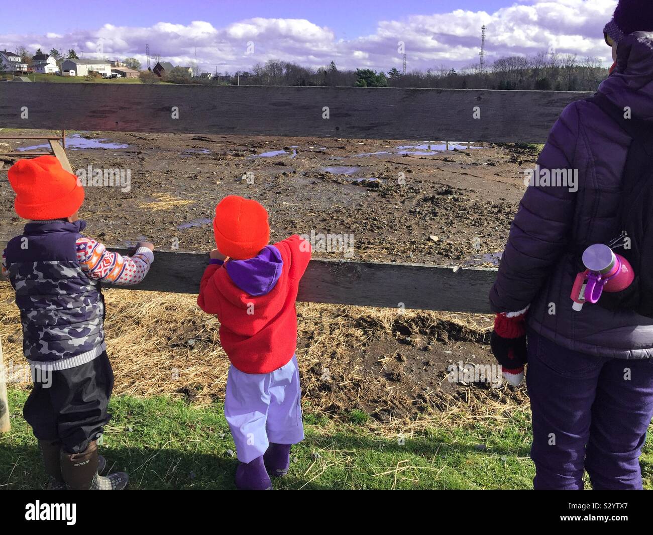Kids’ outing on a farm - Smartphone Captured Stock Image