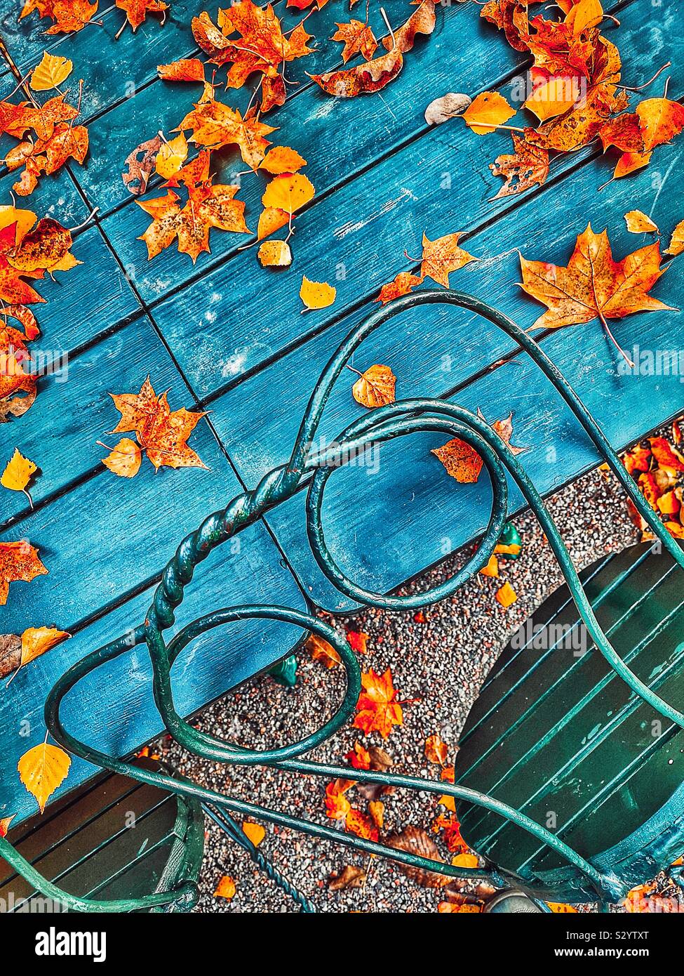 Autumn leaves, outdoor cafe table and stylish metal chair - Smartphone Captured Stock Image