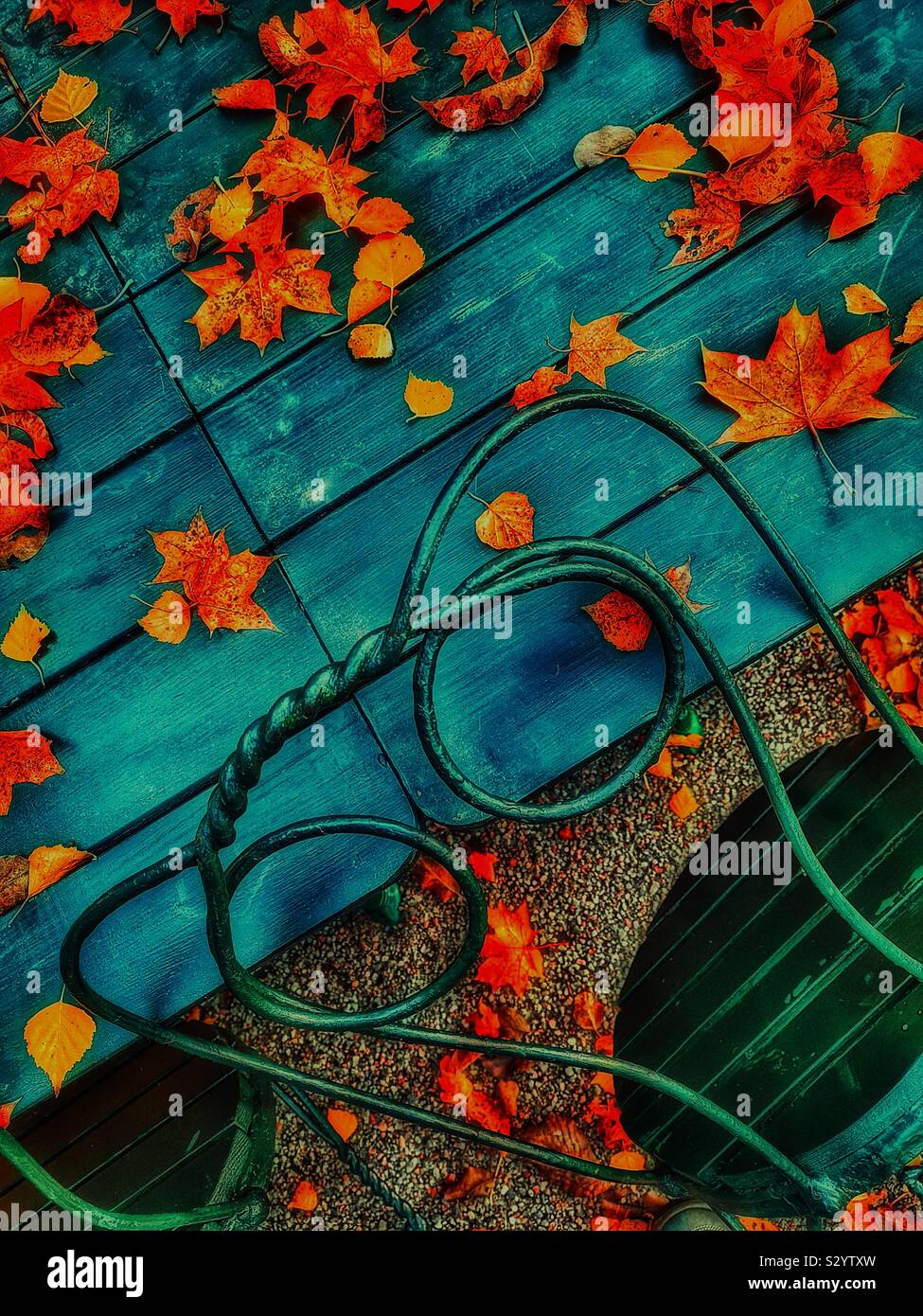 Autumn leaves, outdoor cafe table and stylish metal chair - Smartphone Captured Stock Image