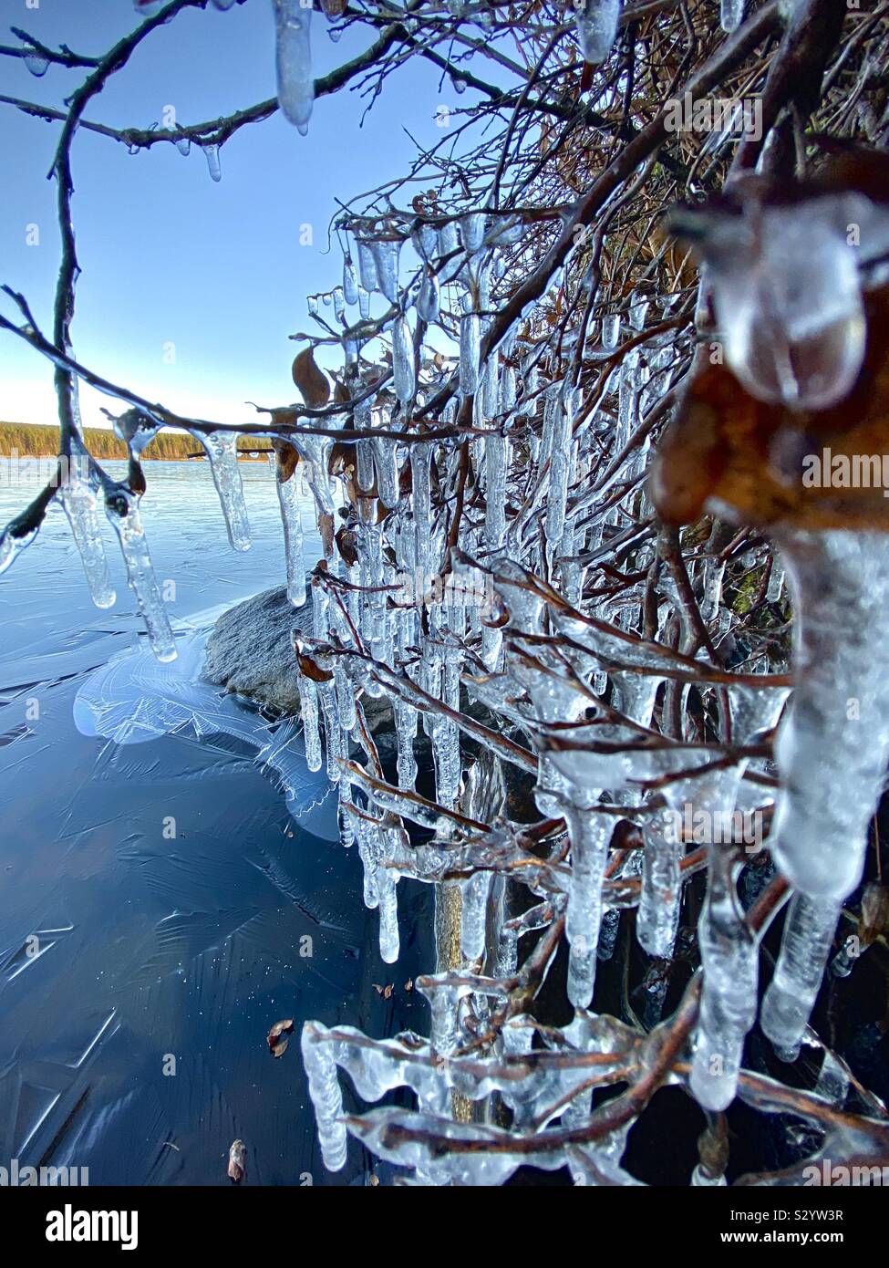 Natural lakeside ice chime feature Stock Photo Alamy