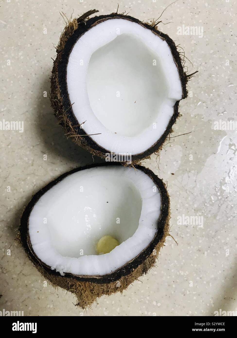 Coconut flower hires stock photography and images Alamy