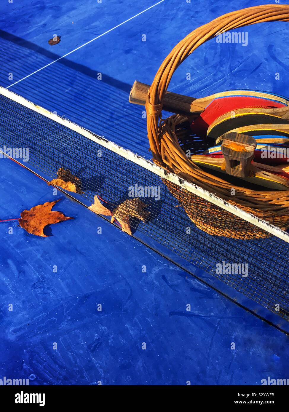 Table tennis aka ping pong outdoors in the autumn. Closeup of blue table, net & paddles Stock Photo