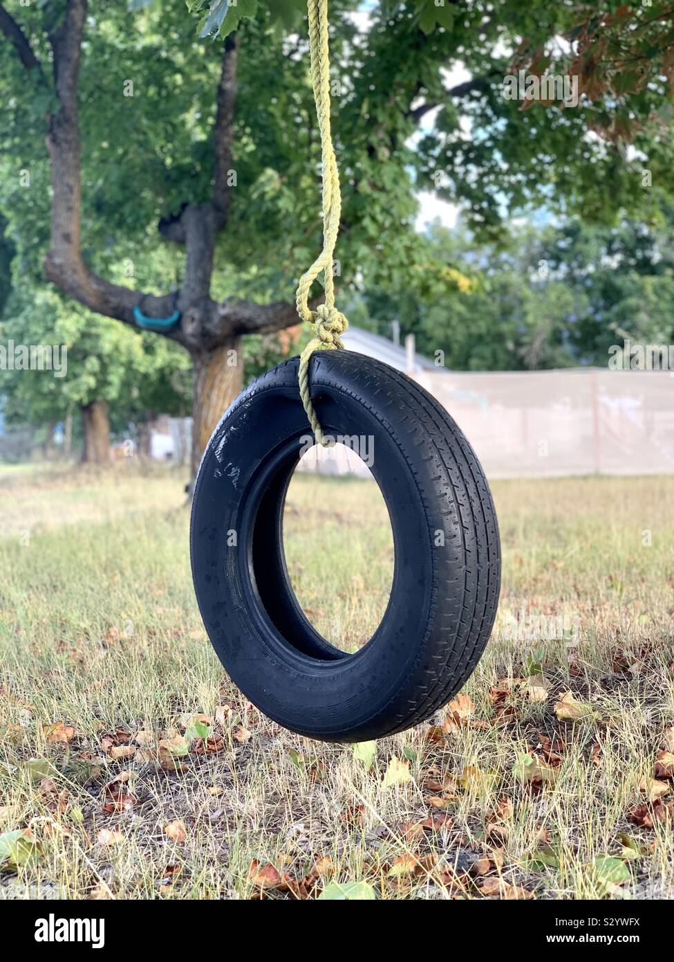Tire swing hi-res stock photography and images - Alamy
