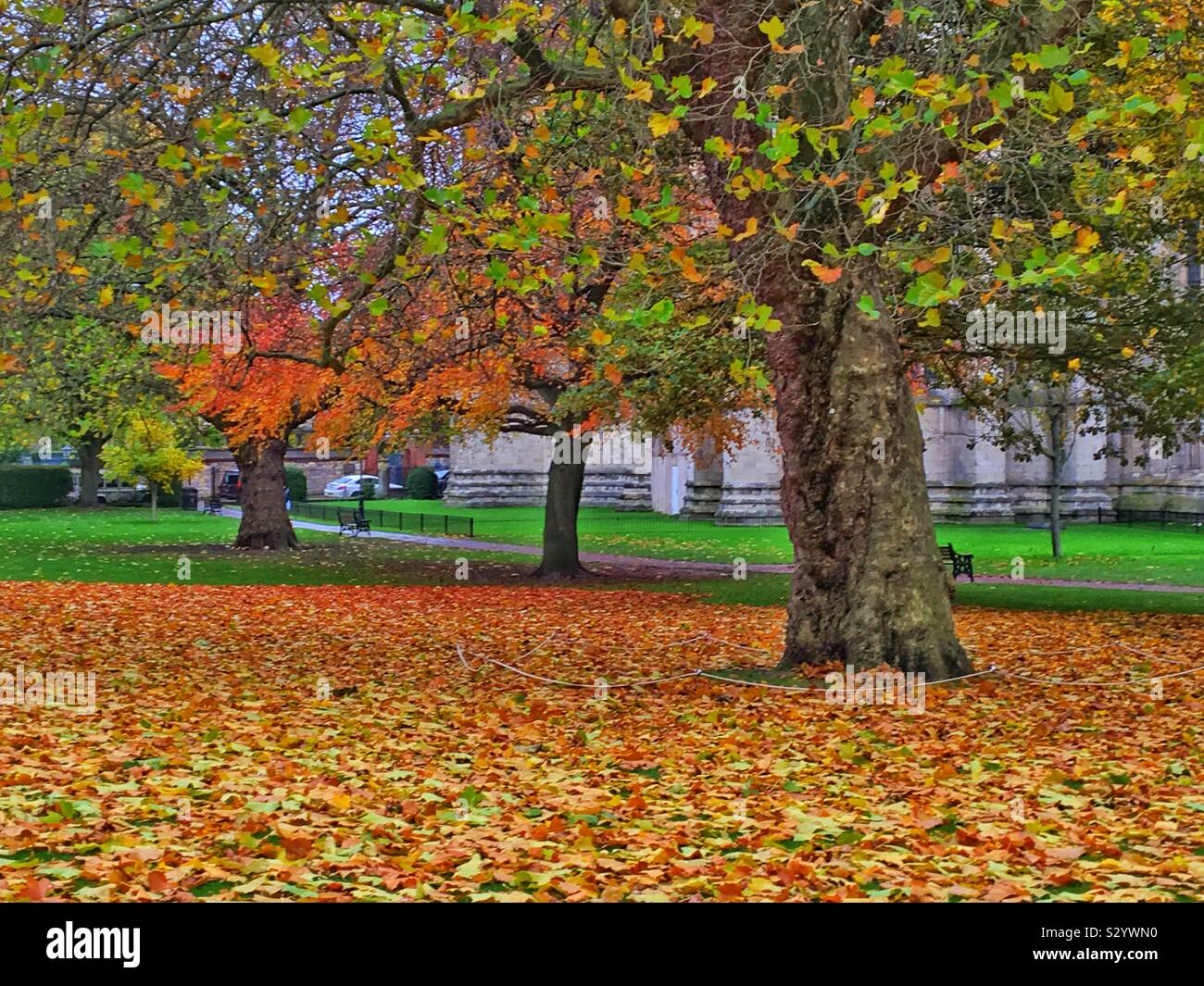 Deans Park in autumn York North Yorkshire England UK United Kingdom GB Great Britain - Smartphone Captured Stock Image