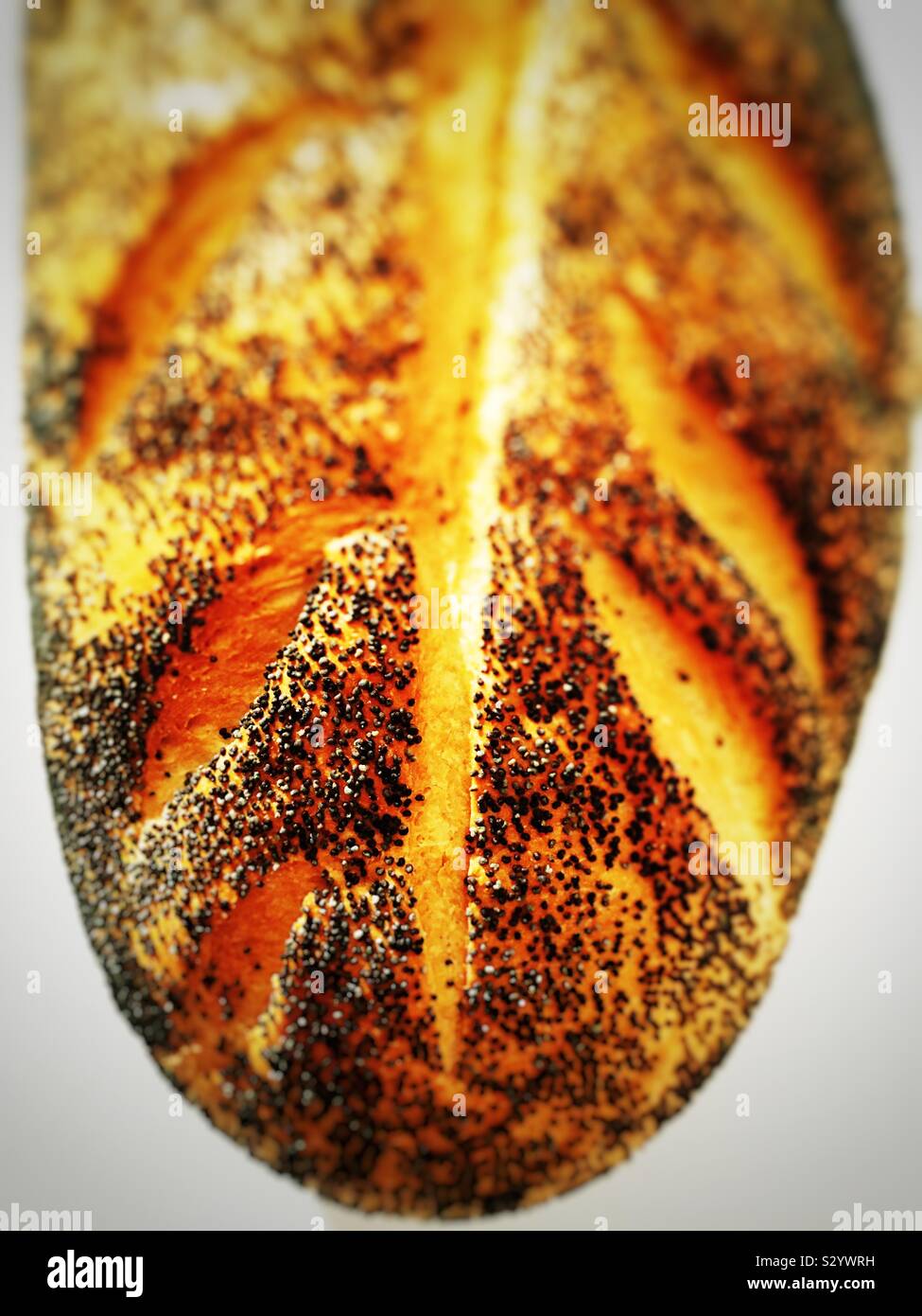 Poppyseed bloomer bread loaf - Smartphone Captured Stock Image
