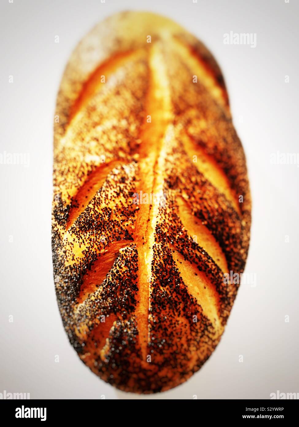 Poppyseed bloomer loaf - Smartphone Captured Stock Image