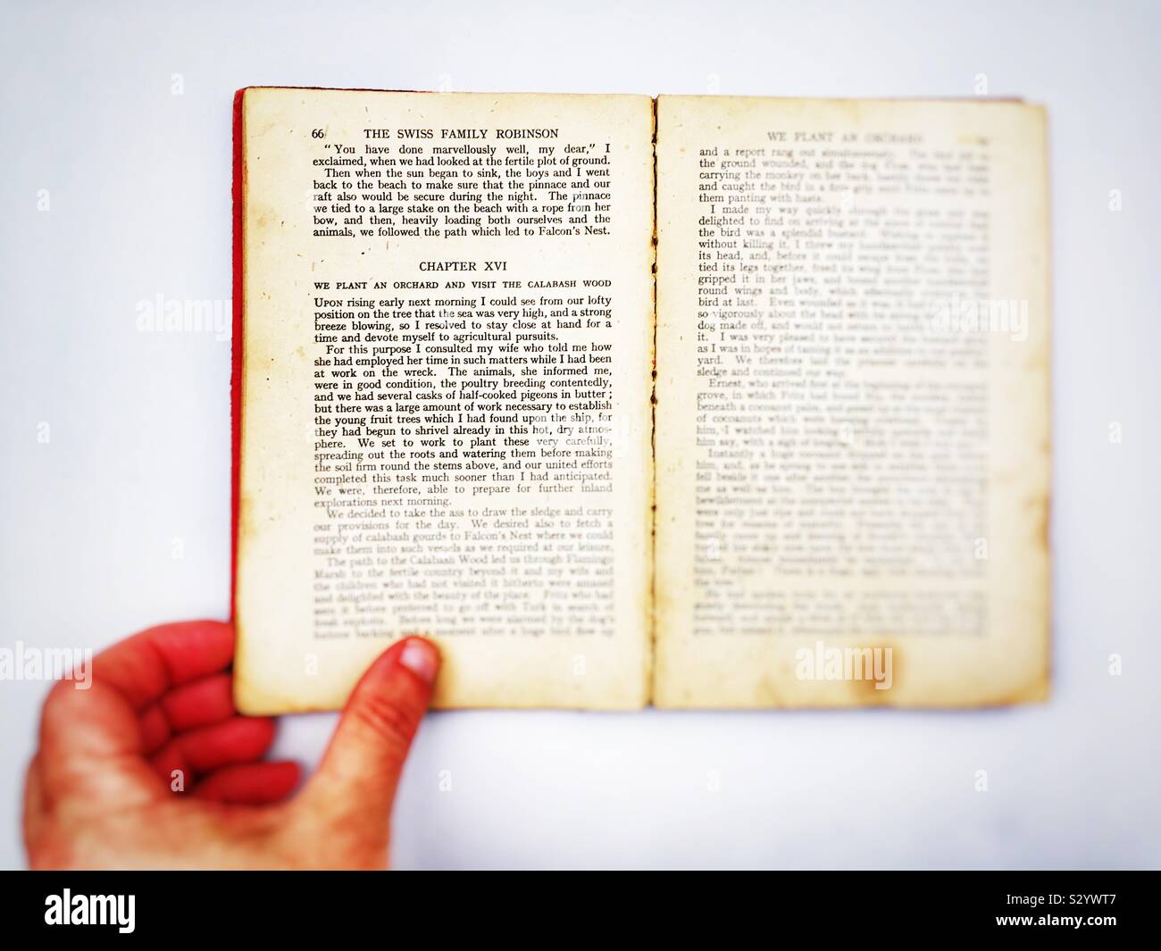 The Swiss Family Robinson novel - Smartphone Captured Stock Image