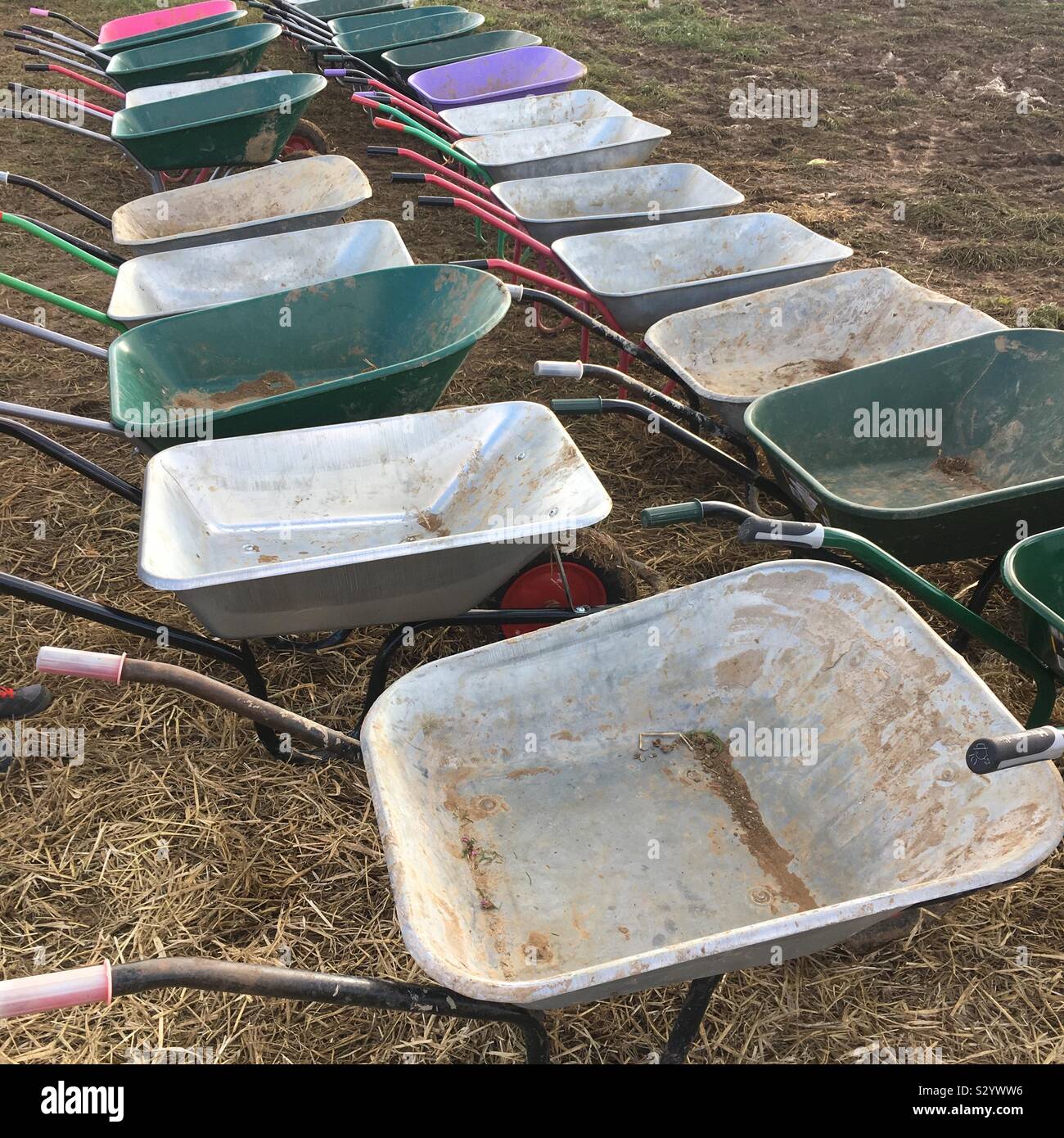 Wheelbarrows in a field Stock Photo Alamy