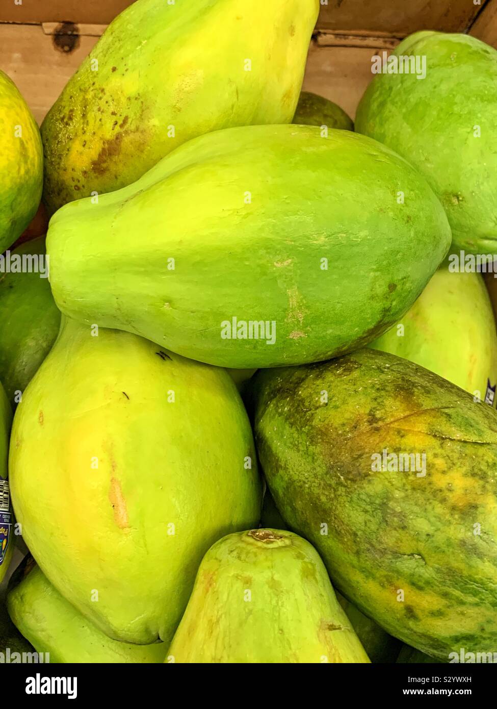 Fresh papaya fruit in a shipping box - Smartphone Captured Stock Image