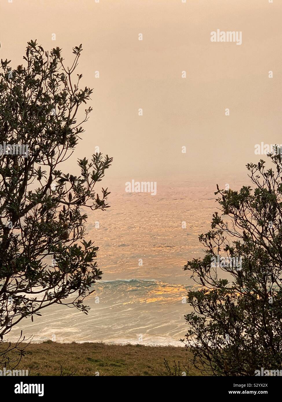 Smoke from bush fire in NSW making sun reflecting orange on the ocean, Australia - Smartphone Captured Stock Image