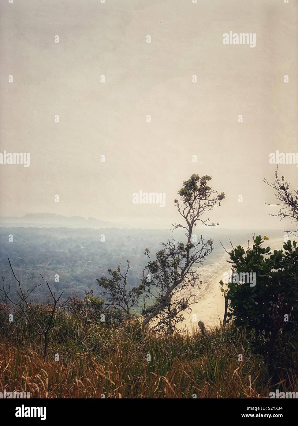 Smoke thick in the air and ash in the beach from bush fires, mid north coast NSW Australia - Smartphone Captured Stock Image Smoke thick in the air and ash in the beach from bush fires, mid north coast NSW Australia - Smartphone Captured Stock Image