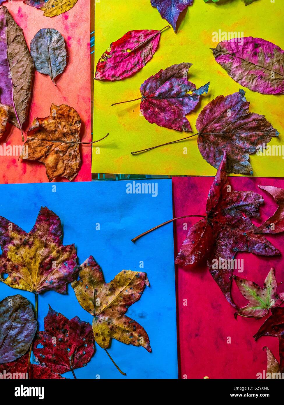 Saturated photo of child’s colorful artwork of autumn leaves glued to construction paper Stock Photo