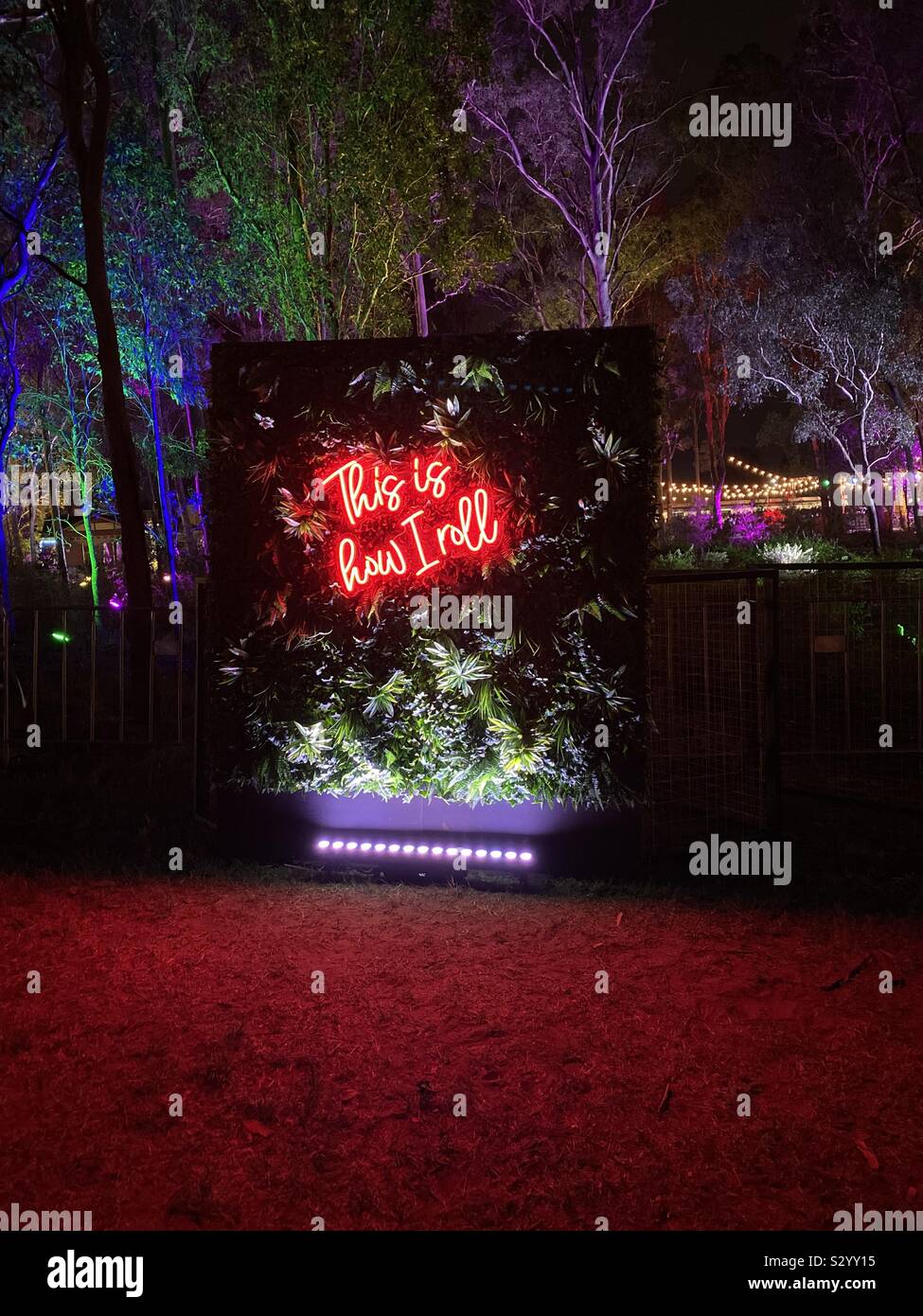 This is how I roll front on view - Smartphone Captured Stock Image