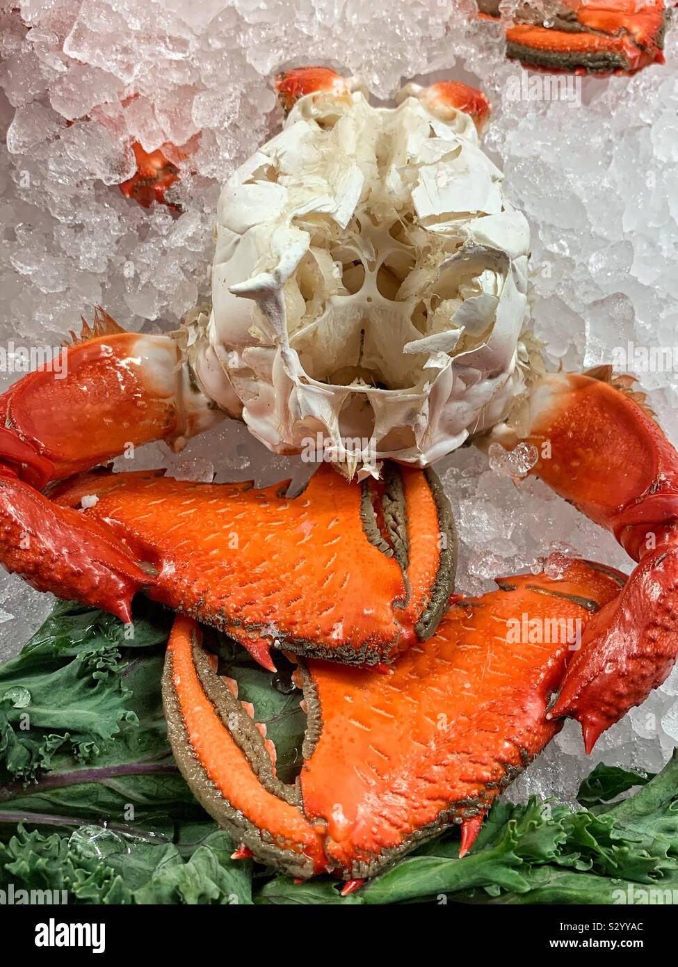 Fresh Alaskan king crab claws Stock Photo - Alamy