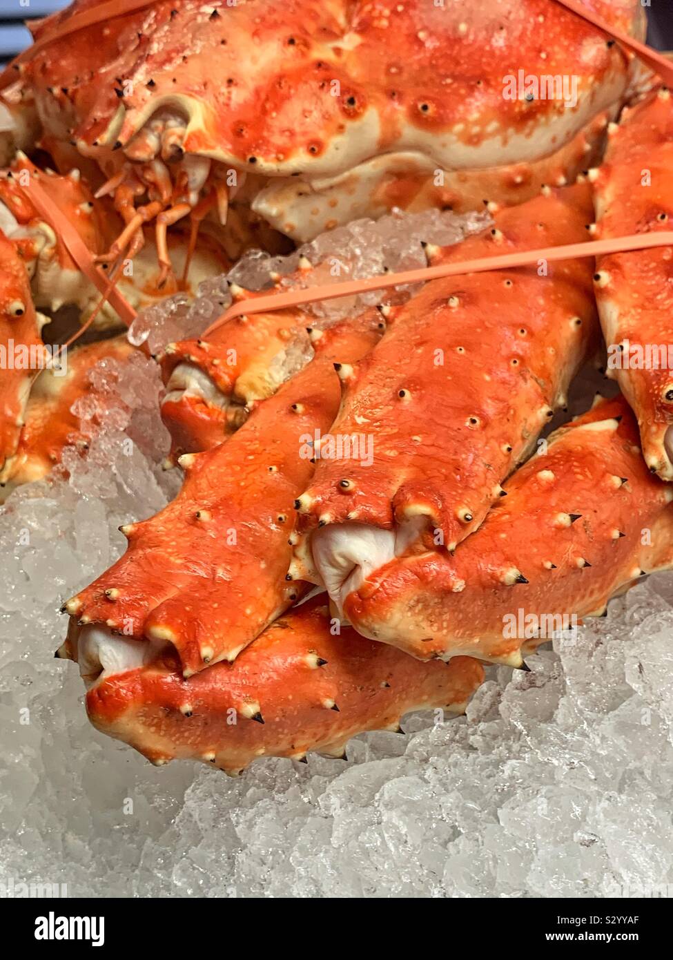 Alaskan king crab hires stock photography and images Alamy