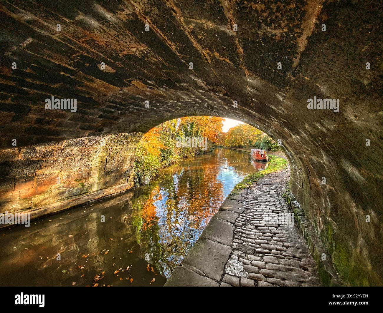 Autumn colours from under stone bridge on Leeds and Liverpool canal near Adlington in Lancashire - Smartphone Captured Stock Image