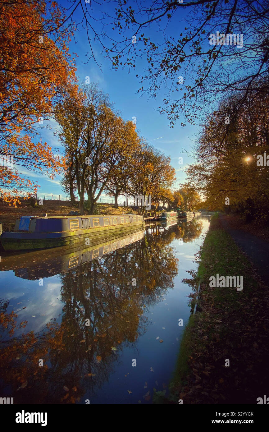 Narrow boats and trees reflected in water of Leeds and Liverpool canal near Adlington in Lancashire - Smartphone Captured Stock Image