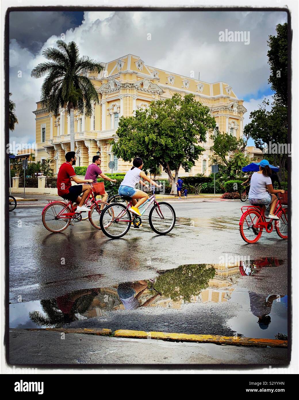 Bicycle riders fill the Paseo de Montejo on Sunday mornings (Bici Ruta) when the grand avenue is closed to automobile traffic. Stock Photo