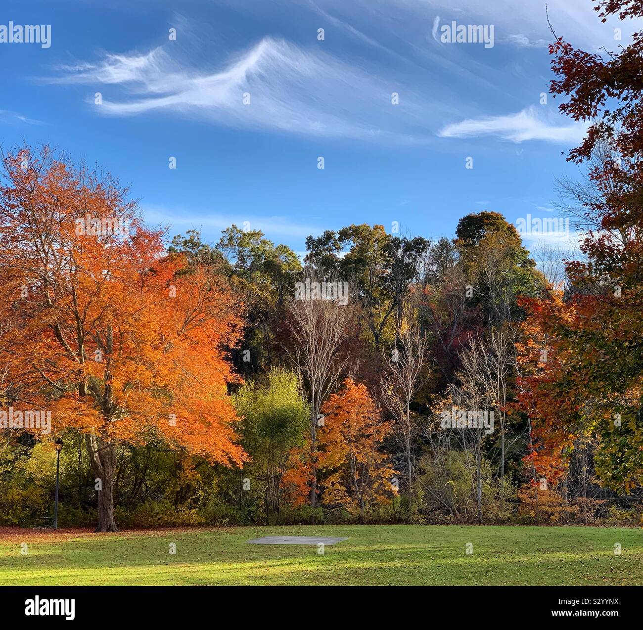 Fall foliage, New England, United States - Smartphone Captured Stock Image