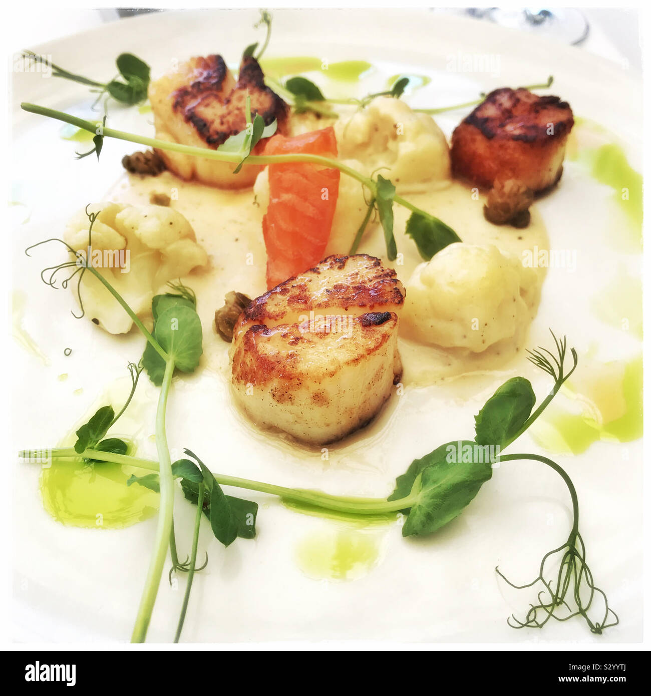Scallops from Sevruga Restaurant, V&A Waterfront, Cape Town, South Africa. - Smartphone Captured Stock Image