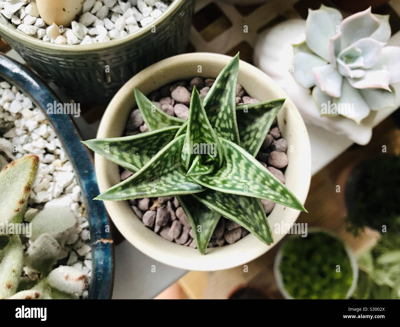 One out of the many Stock Photo Alamy