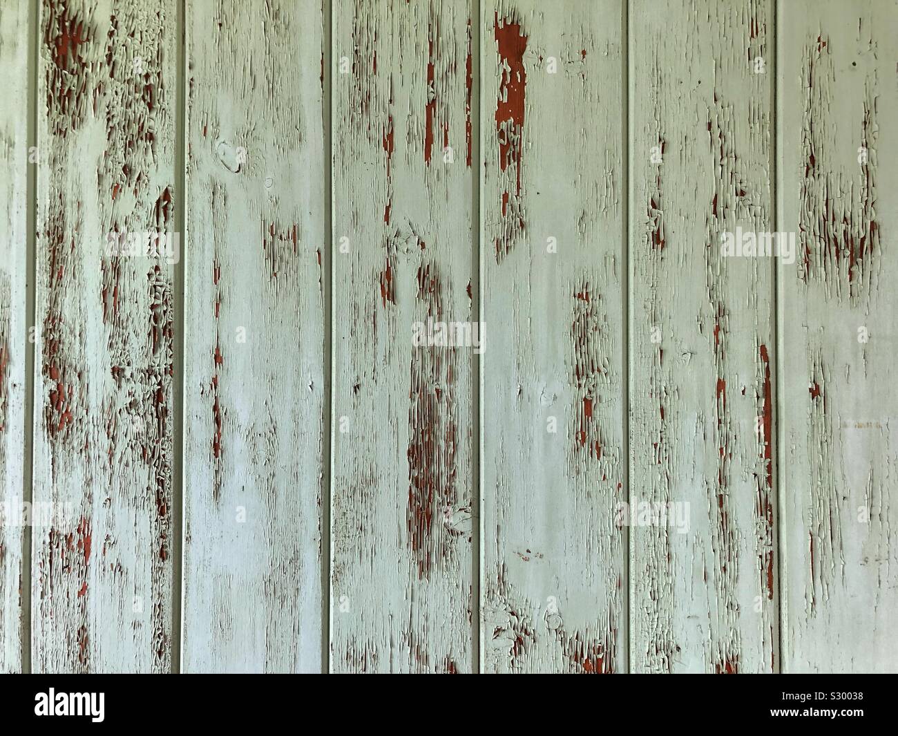 Old, distressed wooden wall in a pastel blue green colour with peeling paint inside an abandoned building. - Smartphone Captured Stock Image