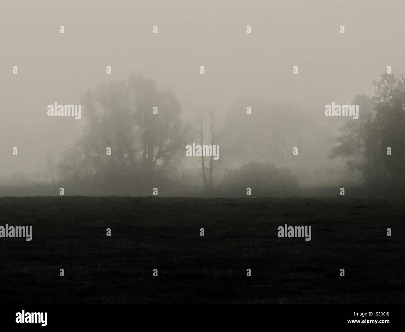 Misty morning in the country side... Stock Photo