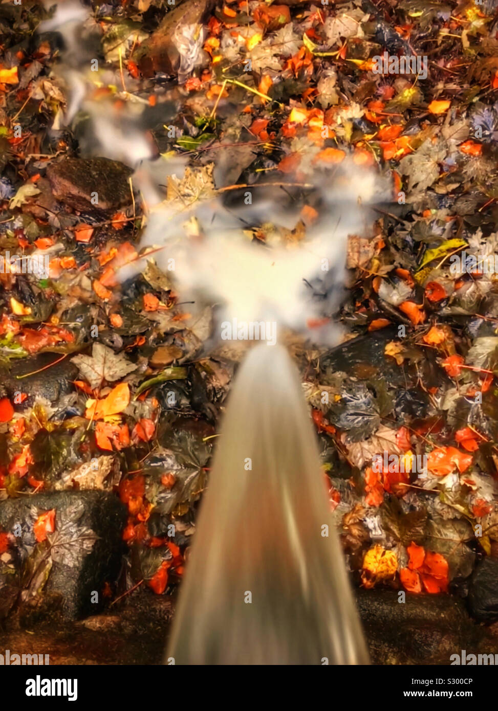 Blurred water flowing onto autumnal leaves - Smartphone Captured Stock Image