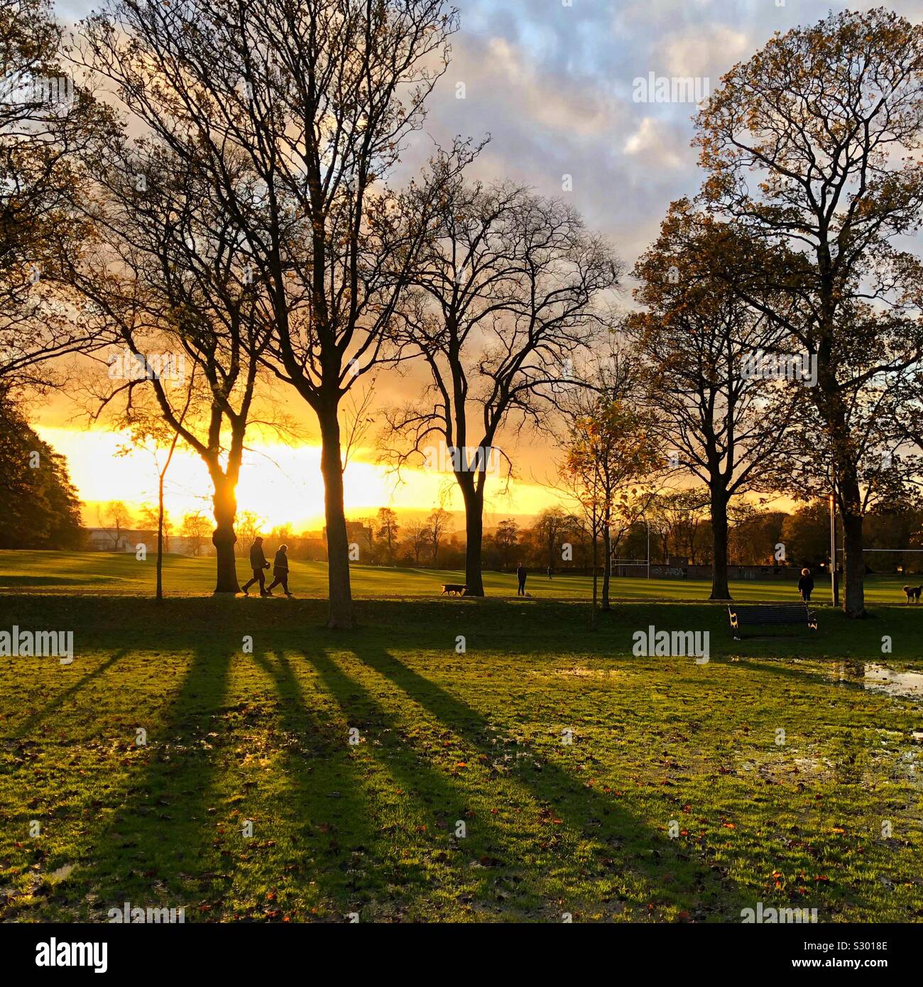 Sunset in the park - Smartphone Captured Stock Image