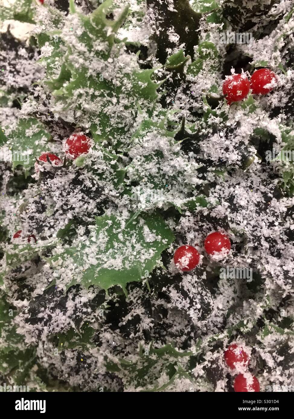 Artificial holly - Smartphone Captured Stock Image