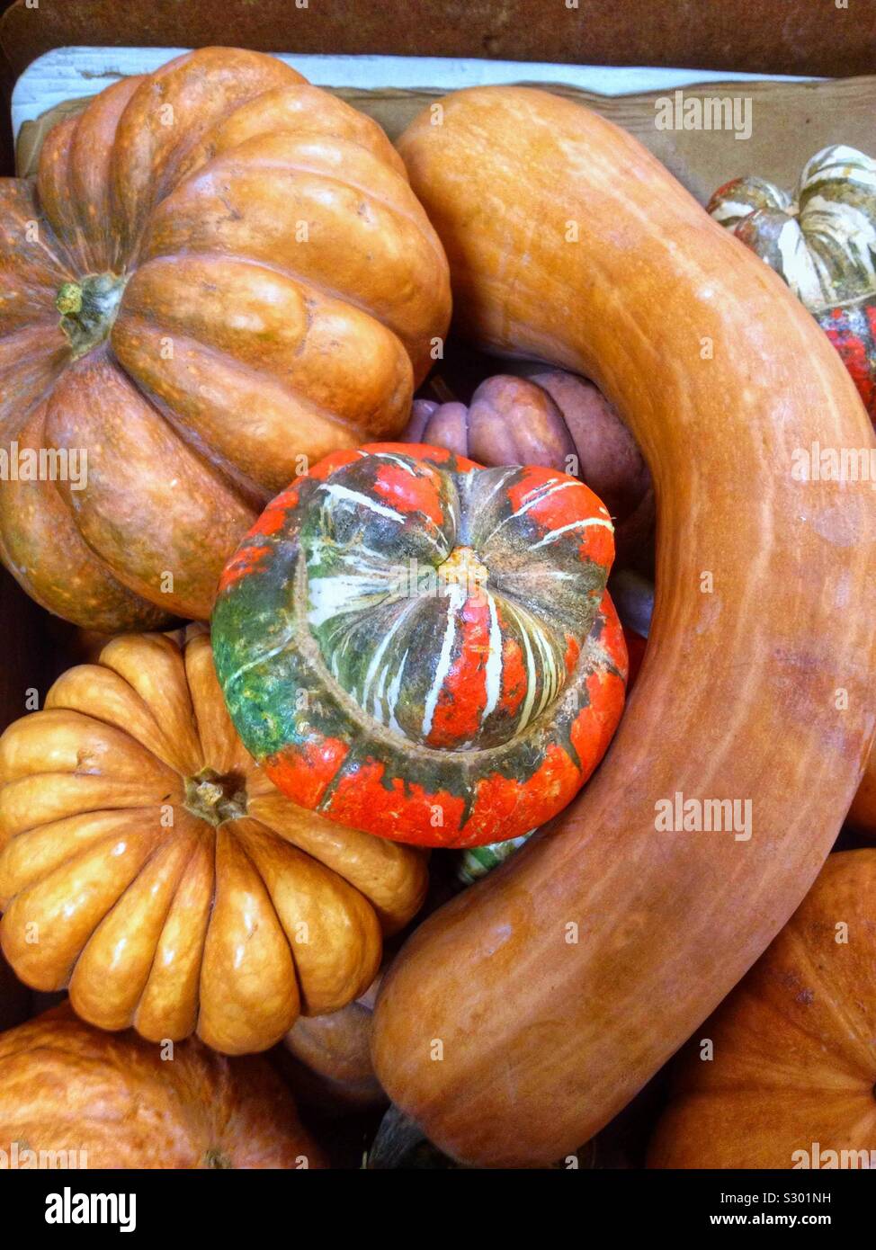 Sale of organic cucurbits in a shop Stock Photo